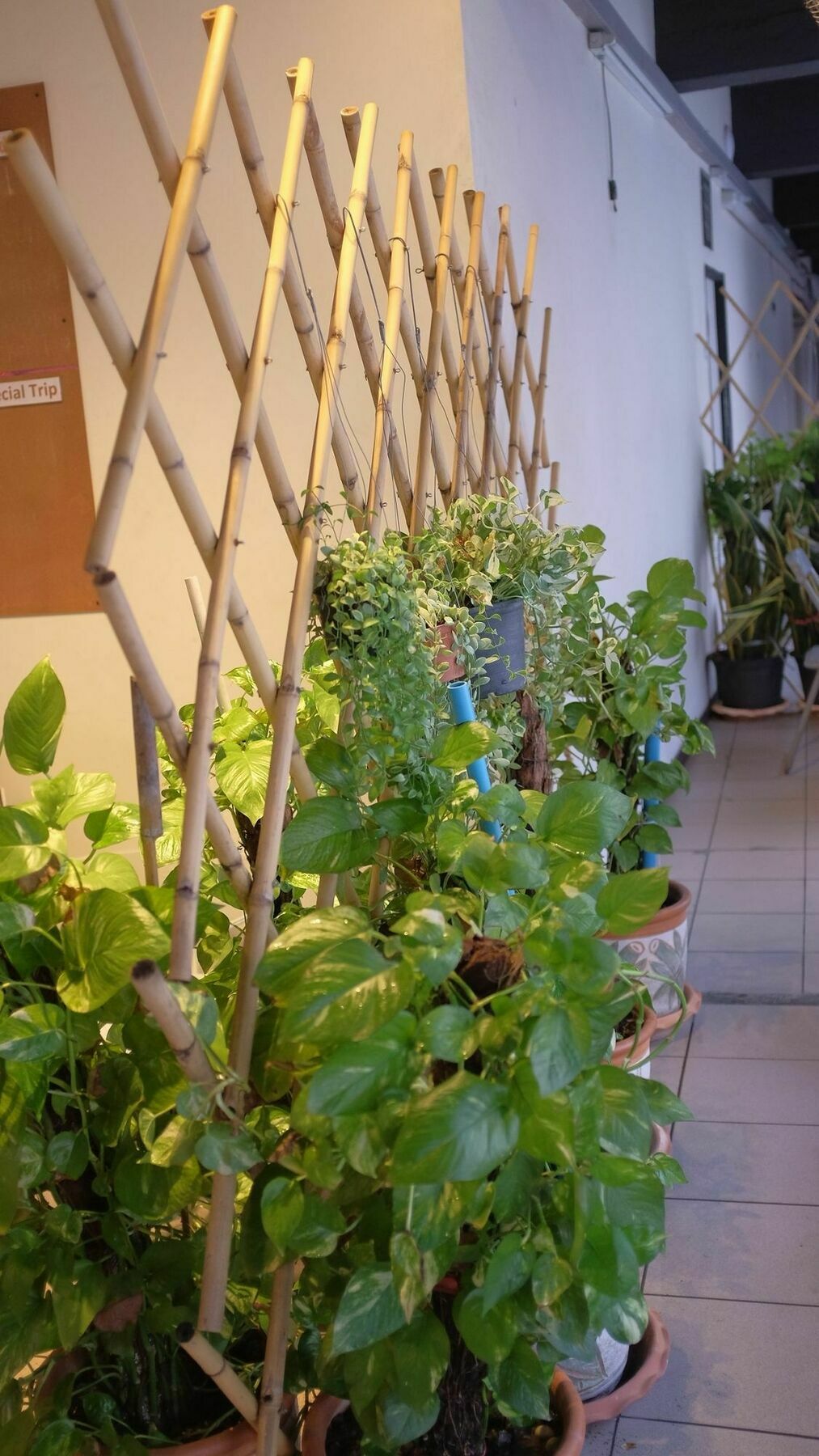 בנגקוק The Mixx Hostel מראה חיצוני תמונה